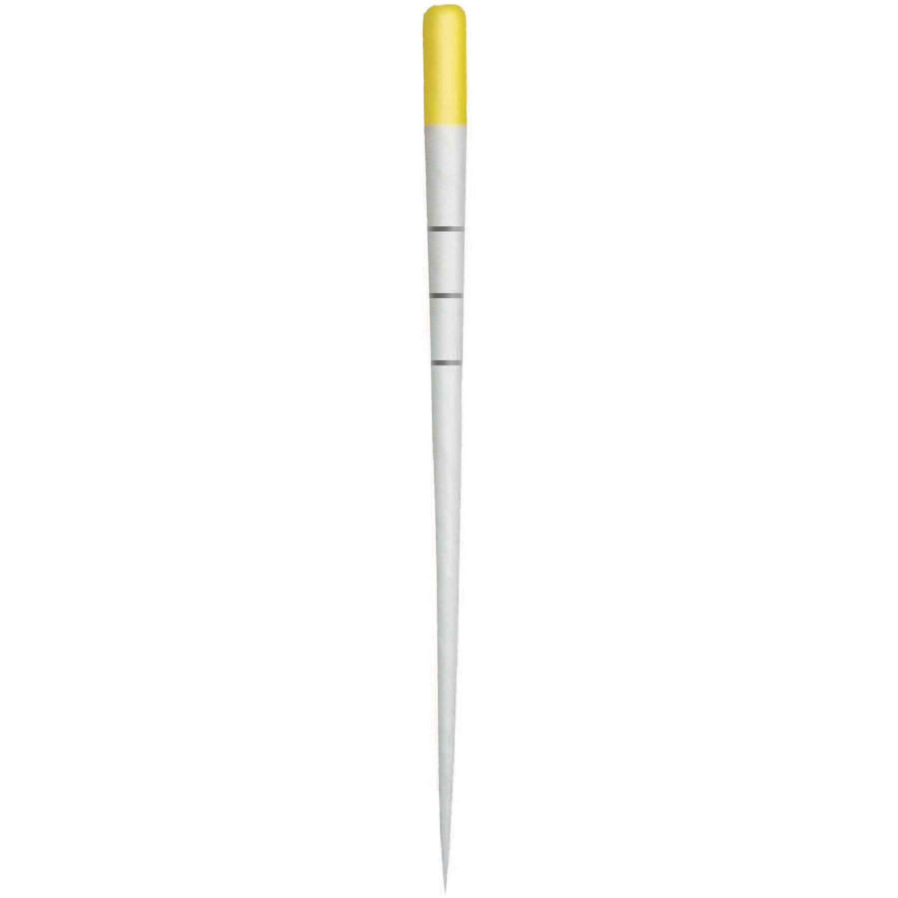 Dentsply Maillefer A241W00000103 ProTaper Gold Paper Dental Points F1 180/Pk Dentsply Maillefer A241W00000103 ProTaper Gold Paper Dental Points F1 180/Pk